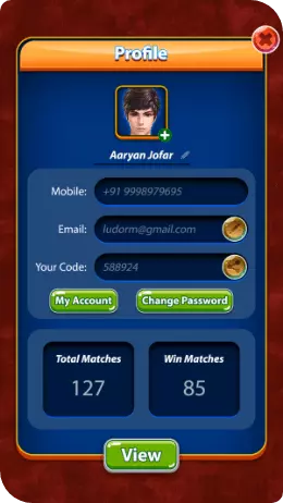 Ludo game screen 6