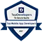 TopDeveloper
