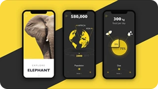 UI_UX Design