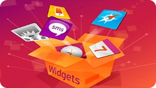 Widget Development