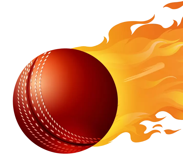 Fantasy Cricket App Development Company
