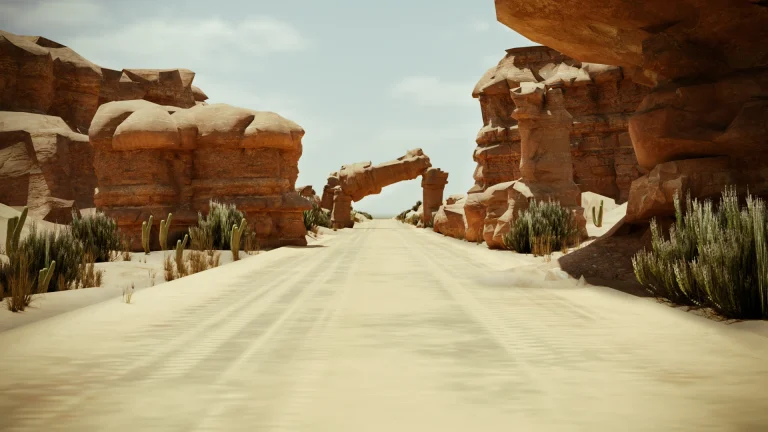 Racing Environment