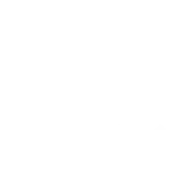 transparent