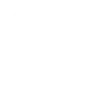 spin-w