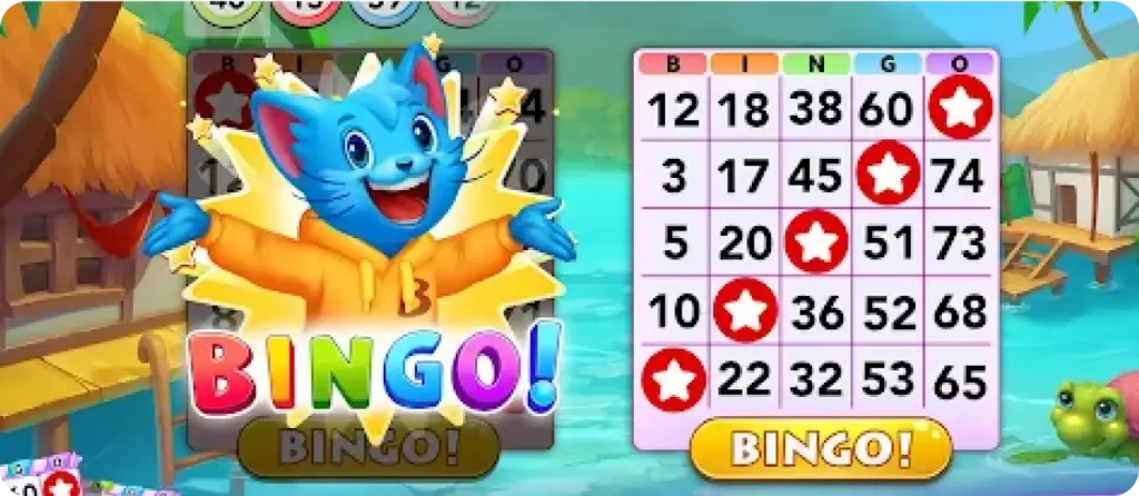 bingo
